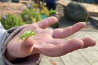 Natur entdecken in der Kindergartenburg Eltville